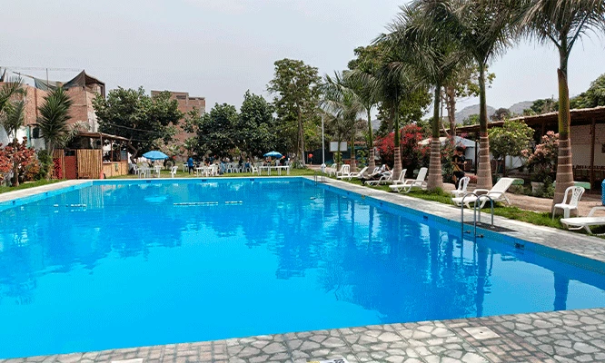 Entrada piscina + 1/4 pollo a la brasa con papas fritas mas ensalada en Club Campestre Campo  y Sol.