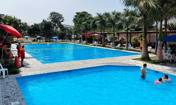 Entrada piscina + 1/4 pollo a la brasa con papas fritas mas ensalada en Club Campestre Campo  y Sol.