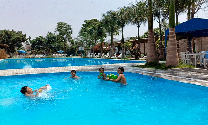 Entrada a piscina + 1/4 pollo a la brasa con papas fritas mas ensalada en Club Campestre Campo  y Sol.