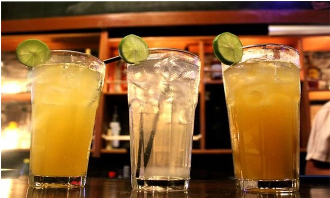 2 CHILCANOS de Frutos rojos, Mango, clásico  según elijas