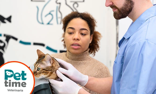 Consulta médica para mascotas en 5 locales a elección con Pet Time Veterinarias.
