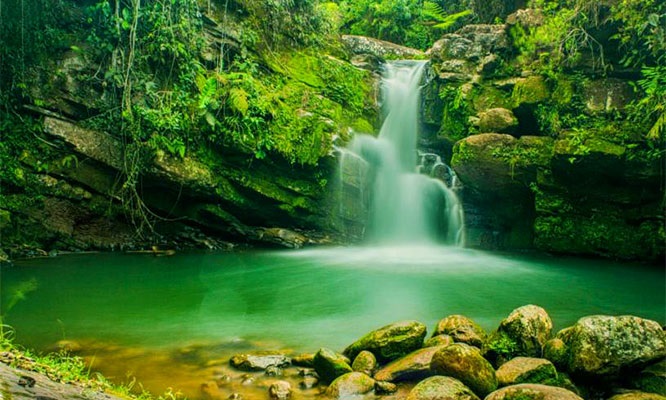 Selva central Incluye Oxapampa Tunqui Cueva La Merced Cataratas ¡Año Nuevo!