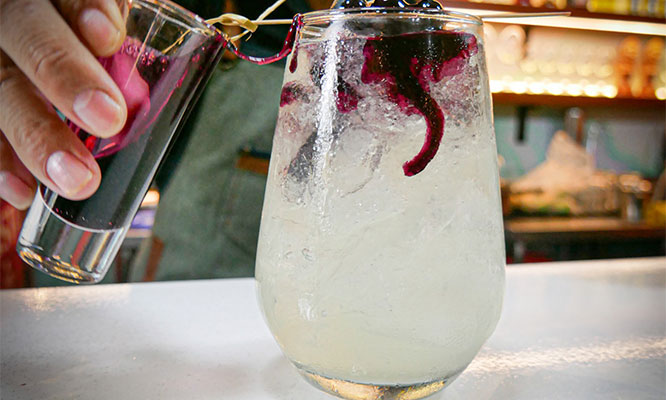 CEVICHE de pescado + rollitos de arroz con pato y más