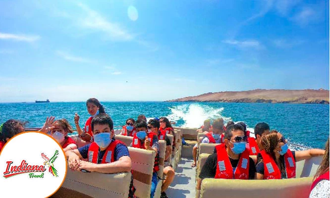 Full Day Paracas - Huacachina Transporte + guía + Desayuno + bodega + Show y más