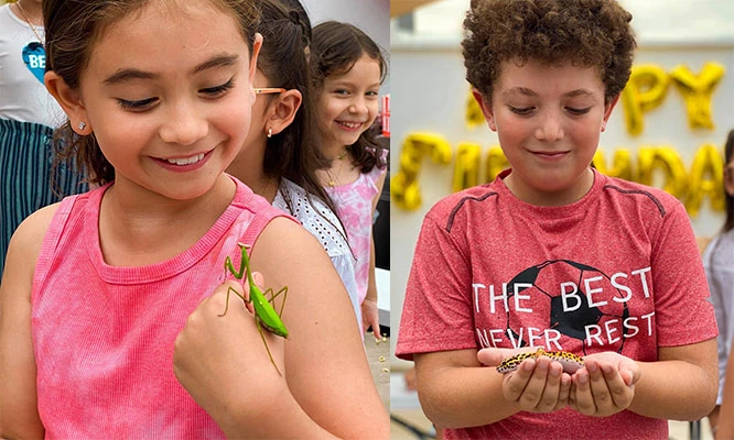 ARTROTHECA Centro de Exhibición de animales Exóticos e Insectos
