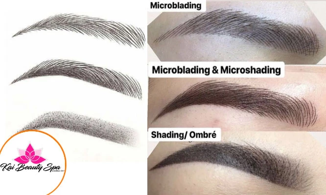 Microshading o Técnica Combinada + Visagismo + Depilación de cejas + Perfilado de cejas