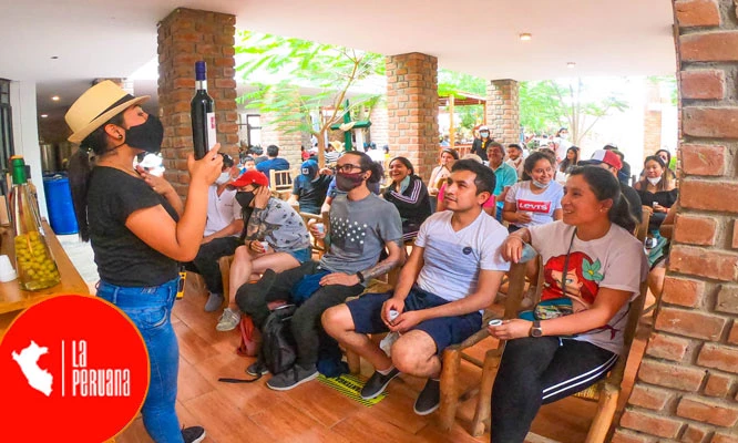 Full Day Transporte Turístico + Paracas + Huacachina + Vitivinícola + Chocolates y más