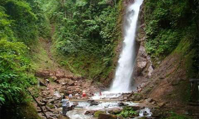 Año Nuevo 3D/2N en la Selva Central Salida del 28 al 31 de marzo