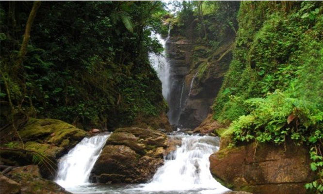 Año Nuevo Selva Central 3D/2N Oxapampa-La Merced y mas