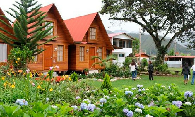 Selva CentraL 2D/1N 3D/2N o 4D/3N con alojamiento tours