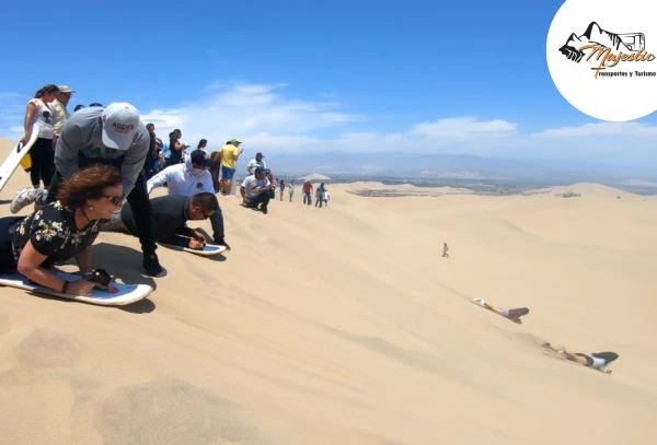 Full Day Paracas e Ica: Islas Ballestas, Huacachina y más