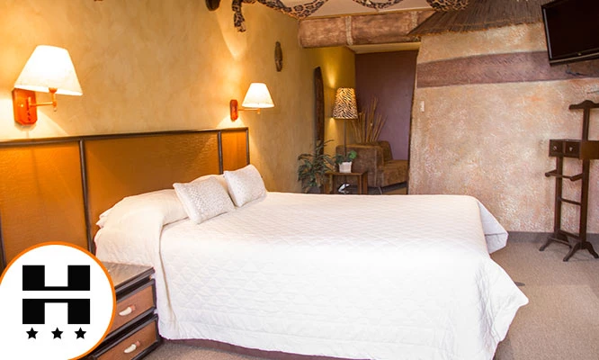 Suite o Suite temática + hidromasaje + espumante o vino + desayunos y más