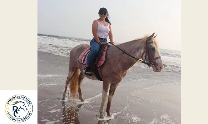 Rancho los Caballos que incluye: entrada , paseo a caballo, mini granjita , juegos