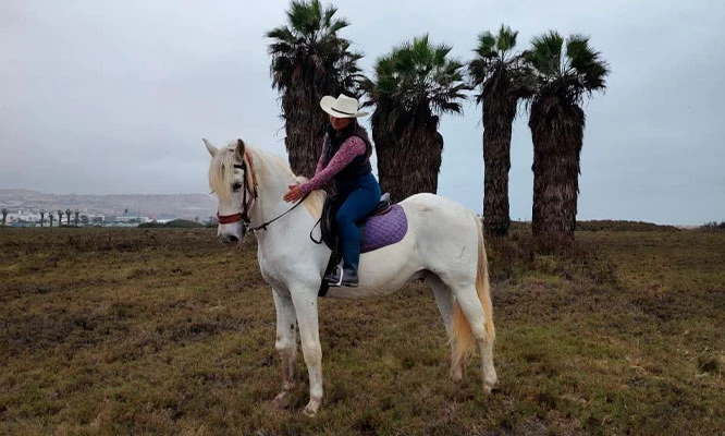 Rancho los Caballos que incluye: entrada , paseo a caballo, mini granjita , juegos