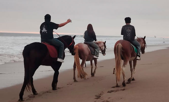 Rancho los Caballos: entrada+ paseo a caballo + mini granjita y más