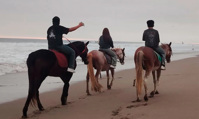 Rancho los Caballos que incluye: entrada , paseo a caballo, mini granjita , juegos