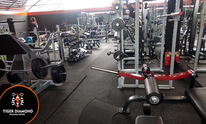 Membresia de 13 6 o 12 meses en Tiger Diamond Functional Crossfit musculacion y mas