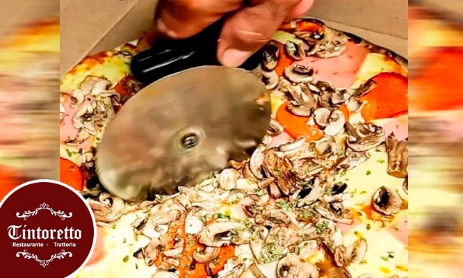 BARRA LIBRE de pastas: Pizzas, Lasagnas, Canelones, Fettuccinis, Ravioles, Gnochi y mas