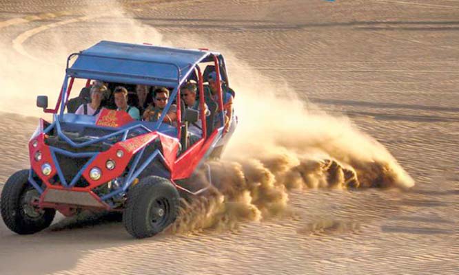 Full Day Paracas - Huacachina – Chincha servicio VIP preferencial desayuno y mas