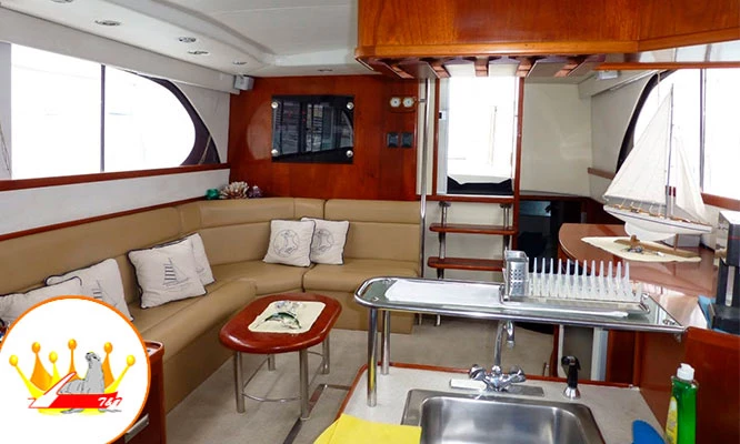 Full day de playa en Yate, nada con lobos marinos en Islas Palomino