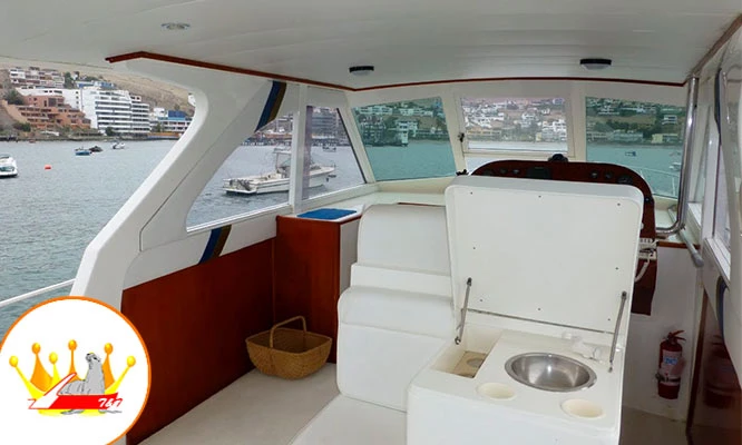 Full day de playa en Yate, nada con lobos marinos en Islas Palomino