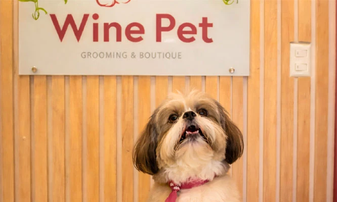 Wine Bath : Baño + corte + limpieza de oído + limpieza de glándulas de tu mascota