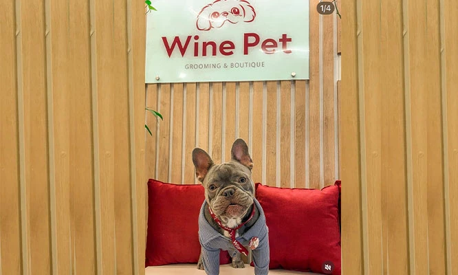 Wine Bath : Baño + corte + limpieza de oído + limpieza de glándulas de tu mascota