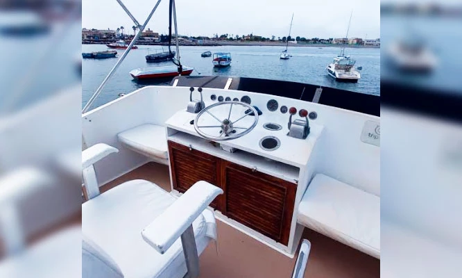 Desde S/115 por Paseo en Yate, Vive la aventura de tu vida en las Islas Palomino con Tours MyG!