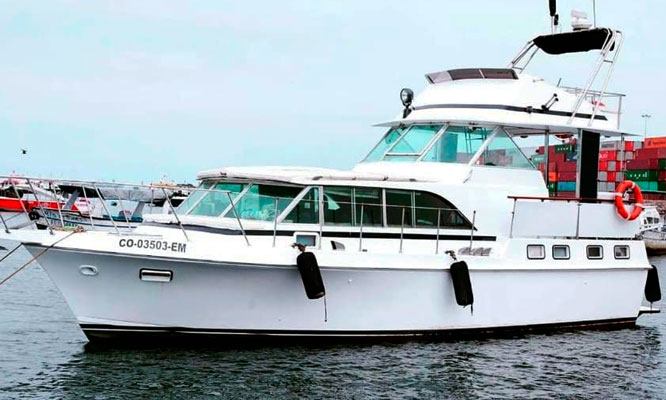 Desde S/115 por Paseo en Yate, Vive la aventura de tu vida en las Islas Palomino con Tours MyG!