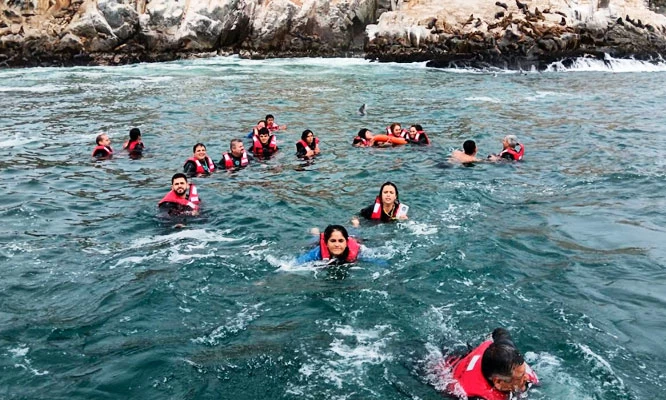 Desde S/115 por Paseo en Yate, Vive la aventura de tu vida en las Islas Palomino con Tours MyG!